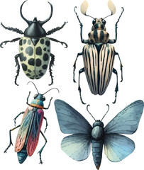 set with various insects in watercolor style