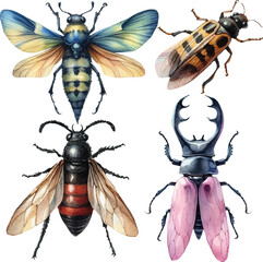 set with various insects in watercolor style