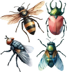 set with various insects in watercolor style