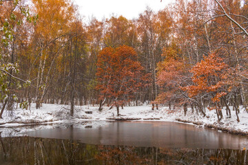 first snow on pond. Picturesque autumn scenery. beginning of winter. Interseason, transition