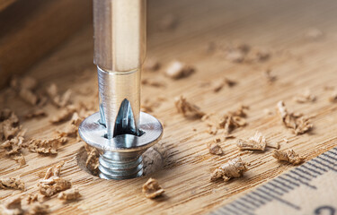 screwdriver screw in a wood oaks plank