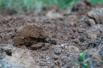 An excavated area of land by hand with a shovel containing large pieces of soil. Digging soil, farming, digging up hidden treasures, burial, grave digging.