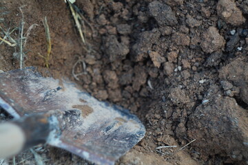 An excavated area of land by hand with a shovel containing large pieces of soil. Digging soil, farming, digging up hidden treasures, burial, grave digging.