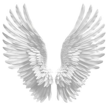 recommend clip art: Realistic white angel wings clip art