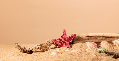 Abstract summer beach scene with a composition of sea sand and shells on a beige background.