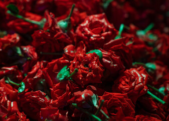 Red rose flower stack in the market
