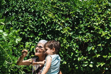 Obraz premium Grandmother and grandson picking flowers in the garden