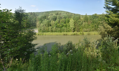 Sentiers Sutton Dos Orignal 14 Juillet 2024 - Photostacking