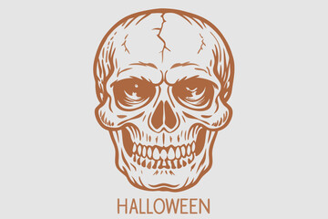 Vintage Human Skull, Human Skull, Skull vector, Skeletion Skull, vintage skeletion skull