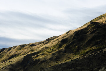 Fototapeta premium Golden mountain side meadow in New Zealand