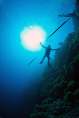 The Red Sea, one of the saltiest seas in the world, is located between Africa and Asia and covers approximately 438,000 km2 (169,100 mi2). Hundreds of hard and soft corals surround this area and are b