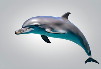 Fototapeta premium dolphin jumping out of water