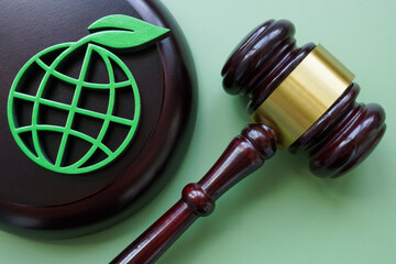 Environmental law. Gavel and abstract green planet with leaf.