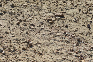 dirty geological ordinary texture of small granite stones with gray dust and debris on a dry road on a hot day in summer