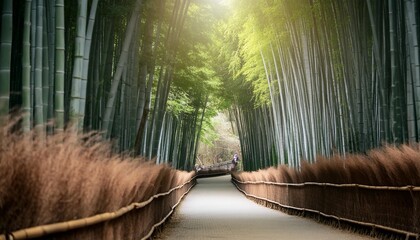 images of the serene bamboo forest bamboo stem centered image generative ai