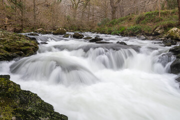 The East Lyn river flowing through the woods at  Watersmeet in Exmoor National Park