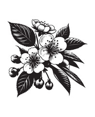 vector cherry blossom flowers vector art,graphics cherry blossom flowerss icons set,vintage illustration cherry blossom flowers clipart,vector cherry blossom flowerss flat style artwork design