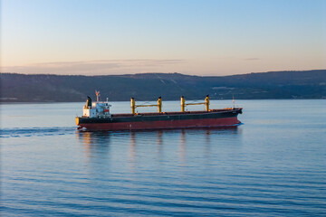 Dry bulk cargo ship, a merchant ship to transport bulk cargo such as grains, metal ore or coal....