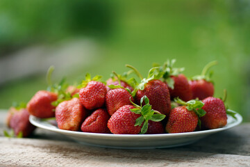 Plate of strawberries in the garden on a green background