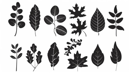 Fototapeta premium Black and white leaves icons set