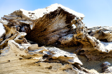 Shot of a scene on a beach on the French Atlantic coast with blue sky and driftwood