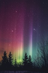 Fototapeta premium the aurora borealis is a colorful display of light