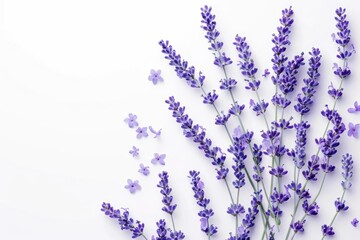 A bouquet of lavender flowers on a clean white surface