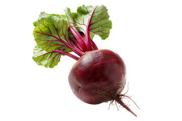 Fresh red beetroot with its green leaves isolated against a white background.