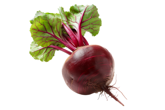 Fresh red beetroot with its green leaves isolated against a white background.
