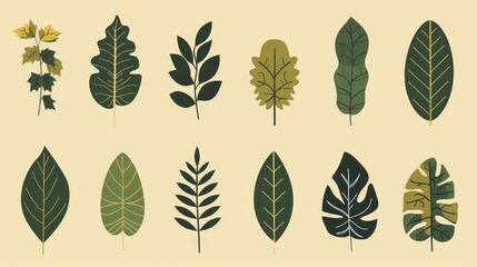 Fototapeta premium Leaves icons set