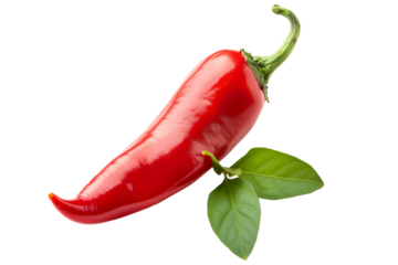 Fresno chili pepper isolated on a white background.