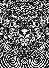 Fototapeta premium Psychedelic Black and White Owl Illustration with Hypnotic Linear Patterns 