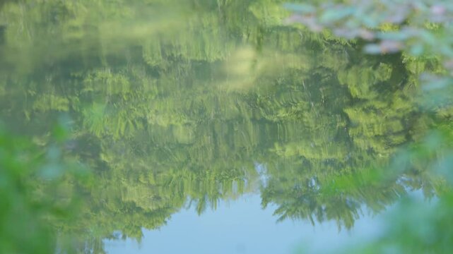 Zoom-out footage from a beautiful Kupa River to a pier with wooden steps, Kupa River, Croatia