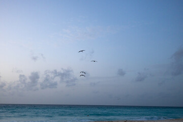 Amanecer en las playas de Cancún, Quintana Roo.