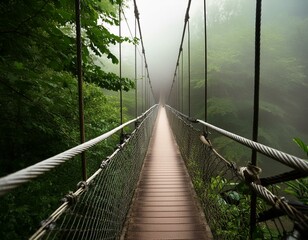 Misty forest suspension bridge amidst lush foliage
