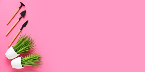 Gardening tools and plants in pots on pink background with space for text