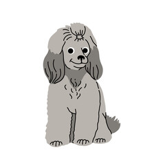 cartoon Dog in motion. Different canine breeds. Active puppies siberian husky, jack russell terrier, cocker spaniel, miniature poodle, shar pei, bishon frize. Flat vector illustration