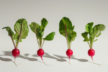 Four whole radishes are placed on a clean white surface, showcasing their vibrant colors and textures. The image highlights the simplicity and freshness of the radishes.