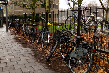 Many bicycles are parked on the sidewalk near the black fence. Lots of dry orange leaves. Beautiful clean European street in the autumn