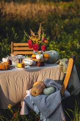 Tea setting with handmade pie. Beautiful view of garden wooden furniture with basket, soft blanket...