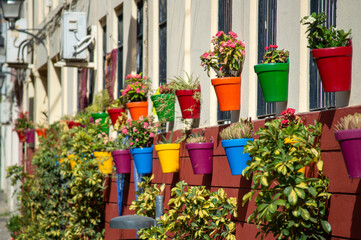 Flowers on the streets in the city center in Malaga, Spain