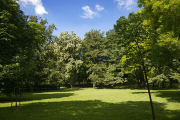 Beautiful castle park in the summer season on a sunny day. Sunny day, summer. Park with green trees and grass. Shadow and sunshine. Nature, rest, walk, trees.
