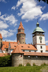Obraz premium The castle captured from the castle park. Castle park, hill. Ancient brick castle with towers. Tourist place, travel, trips. Nature around the castle