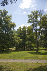 Castle park with mature green trees on a sunny day. Park, sky with white clouds. Trees and grass bathed in sunlight. A sidewalk in the foreground.