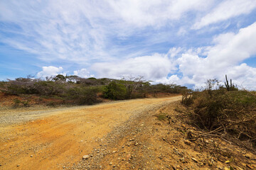 Beautiful view of rocky Cucucu desert in Arikok National Park with tropical vegetation and gravel road for cars on island of Aruba.