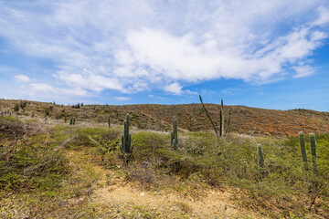 Beautiful view of rocky Cucucu desert in Arikok National Park with tropical vegetation on Island of Aruba.