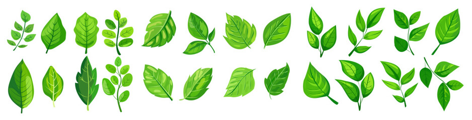 featuring eight different types of green leaves. Each leaf showcases unique shapes and vein patterns. graphic is simple, clean, and vibrant, ideal for nature-themed designs and eco-friendly projects