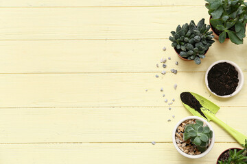 Different succulents and shovel with soil on yellow wooden background. Top view