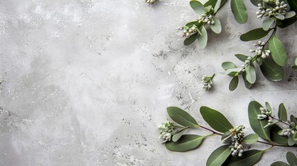 Green Leaves and Buds on Concrete Surface
