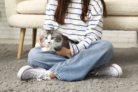 Young woman with longhaired adorable cat sitting on floor near sofa in living room